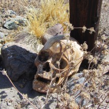 Grave with skull in Uchumayo